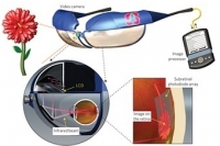 Фотоэлементы стали основой искусственной сетчатки