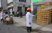 Число жертв птичьего гриппа в Китае достигло девяти