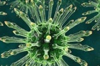 Дженерики фармацевтических средств для ВИЧ-инфицированных ставят под угрозу всю систему лечения Дженерики фармацевтических средств для ВИЧ-инфицированных ставят под угрозу всю систему лечения