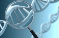 В США объявлен конкурс на секвенирование 100 геномов долгожителей