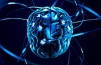 Ученые нашли «горячую точку» мозга, ответственную за распознавание цифр