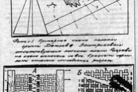 Москвичей предупредили о радиоактивной чернике