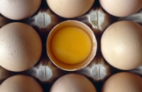 Яйца названы универсальным источником антиоксидантов
