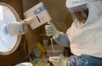 Генетическая болезнь защищает от лихорадки Эбола