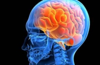 Сотрясение мозга крайне опасно для интеллекта человека
