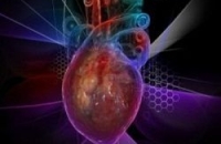 Ученые научились ставить заплатки на сердце