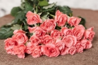 Красивая доставка цветов в Запорожье от Flora24.com.ua – выбираем букеты женщинам, коллегам