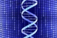 ДНК–тестирование: моногенные и мультифакториальные болезни