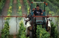Роспотребнадзор ужесточит требования к уровню пестицидов в пище