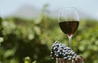 Роспотребнадзор забраковал 1 293 081 литр Молдавского вина