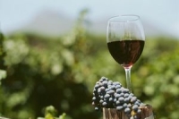 Роспотребнадзор забраковал 1 293 081 литр Молдавского вина