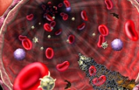 Исследователи узнали, почему некоторым противопоказаны переливания крови