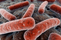 Предложена эффективная и дешевая схема лечения всех форм туберкулеза