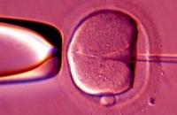 «Лазейки» в тестах привели к распространению зараженной спермы