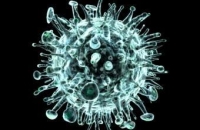 Американские эпидемиологи обнаружили два новых штамма гриппа