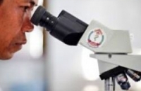Ученые создают первую вакцину против малярии