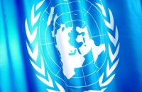 КНДР обратилась в ООН за содействием в борьбе с распространением ящура