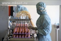 Кому необходимо вводить повышенные дозы вакцины от свиного гриппа Кому необходимо вводить повышенные дозы вакцины от свиного гриппа