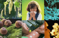 IV Всероссийская Конференция «Аллергология и иммунология для практической педиатрии»