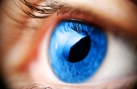 Болезни глаз – глаукома