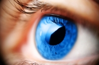 Болезни глаз – глаукома