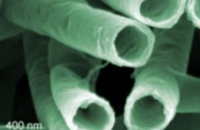 Японские ученые создали наноловушки для вирусов гепатита B