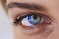 Итальянские ученые сделали имплант сетчатки глаза на основе фотоэлектрического полимера