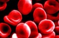 Дамы с какой группой крови имеют больше шансов столкнуться с бесплодием