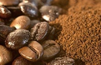 Любители кофе получают защиту от полоумия и увеличение продолжительности жизни