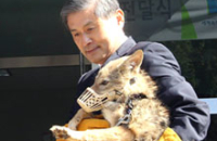 Оскандалившийся корейский ученый успешно клонировал койота