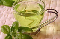 Зеленый чай спасет от простуды