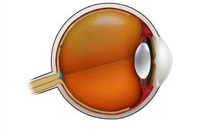 Связанная с глаукомой утрата зрения может увеличить риск автомобильных аварий