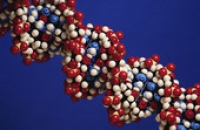 Разрабатывается потенциально недорогой метод расшифровки ДНК