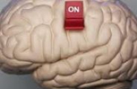 Ученые узнали, в каком возрасте начинается деградация мозга
