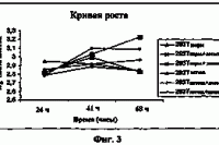 Особый отряд иммунных клеток предотвращает развитие сепсиса