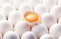 Яйца и куриное мясо способствует улучшению памяти