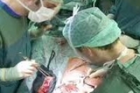 Готов ли ты стать донором, — спросят каждого немца Готов ли ты стать донором, — спросят каждого немца