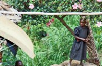 38 Жителей Уганды скончались от неопознанной инфекции