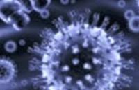 Вирус-шпион убивает раковые клетки, скрываясь в крови