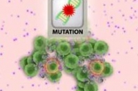 Исследователи научились отключать у рака механизм восстановления Исследователи научились отключать у рака механизм восстановления