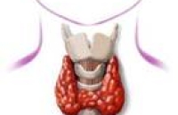 Гормоны щитовидной железы могут быть нормальными, несмотря на симптомы