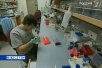 NFIB назван ключом к лечению агрессивных раковых опухолей NFIB назван ключом к лечению агрессивных раковых опухолей