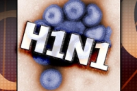 С пришествием зимы в Польше от гриппа А/H1N1 уже скончались 5 человек С пришествием зимы в Польше от гриппа А/H1N1 уже скончались 5 человек
