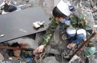 Число жертв землетрясения в Японии превысило 11 тыс человек
