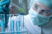 «Отключение» определенного белка предотвращает формирование раковых опухолей «Отключение» определенного белка предотвращает формирование раковых опухолей
