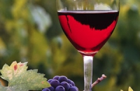 Красное вино может помочь в лечении многих заболеваний