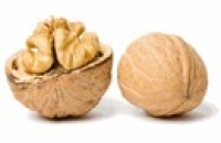 Грецкие орехи улучшают качество спермы