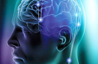 Неврологи выяснили, чем являются воспоминания