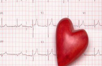 Стволовые клетки обеспечили стабильное улучшение работы сердца после инфаркта