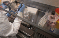 Израиль: продолжаются испытания вакцины от рака